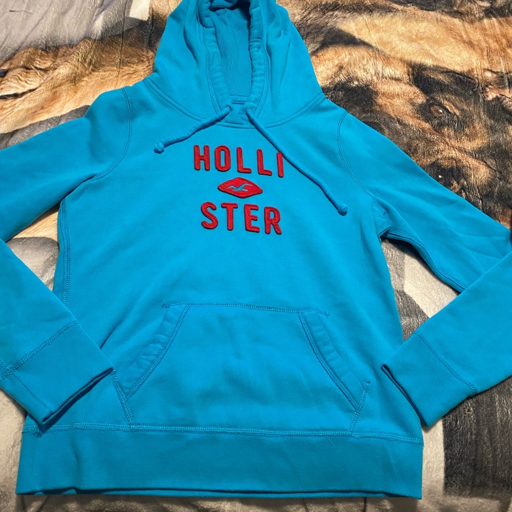 Hollister Hoodie